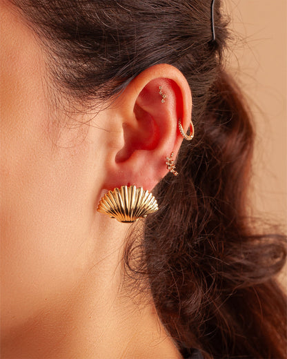 Oyster Large 14K Gold Earrings